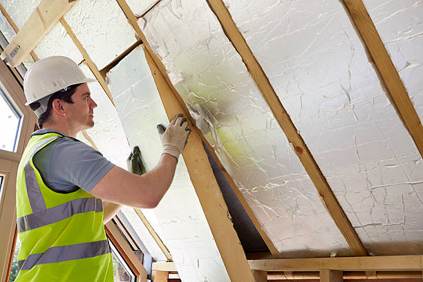 Best Eco-Friendly Insulation in Nd Lake, WI